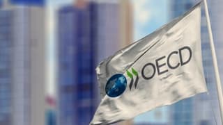 OECD Türkiye 2022 büyüme tahminini yükseltti