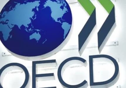 OECD, Türkiye için büyüme tahminini yükseltti