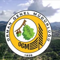 OGM 12 müfettiş yardımcısı alımı yapacak