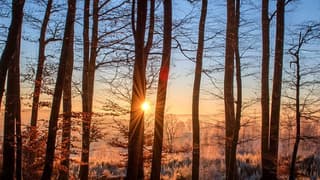 OGM, iklim değişikliği ile mücadele için 5 yıllık yol haritasını açıkladı