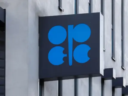 OPEC+ ekim için petrol üretiminde değişiklik yapmadı