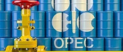 OPEC, küresel petrol talebine ilişkin beklentisini düşürdü
