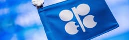 OPEC+ ülkeleri ocakta günlük petrol üretimini 500 bin varil artıracak