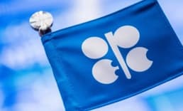 "OPEC ve müttefiklerinin çoğunluğu arz kısıntısını destekliyorlar"