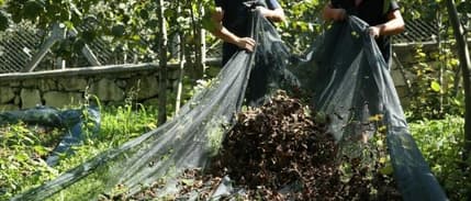 Ordu'da fındıkta işçi yevmiyesi ve diğer ücretler açıklandı