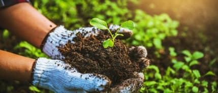 Organik ve iyi tarım uygulamalarına 11 milyar TL'lik destek