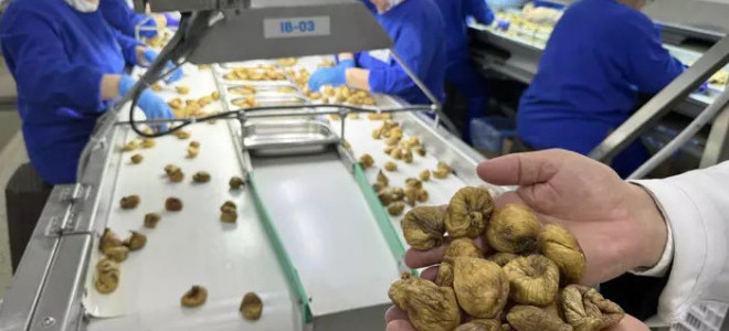 ORGÜDER: Türkiye'nin organik ürün ihracatı 1 milyar euroyu aştı