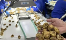 ORGÜDER: Türkiye'nin organik ürün ihracatı 1 milyar euroyu aştı