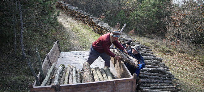 Orman köylüsü ailelere 2,55 milyar lira destek sağlandı