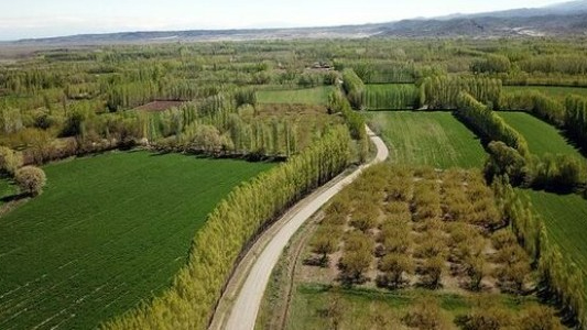 Orman bakımı için 2,3 milyar lira harcandı