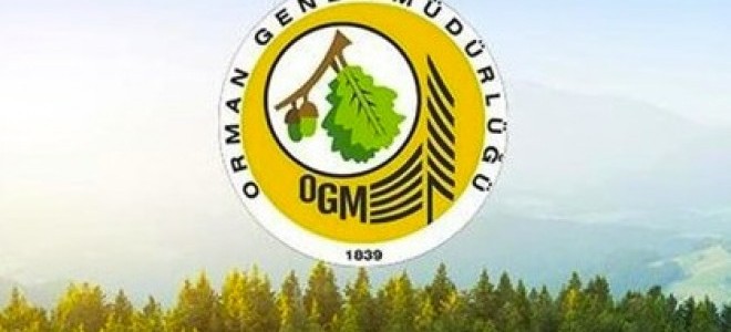Orman Genel Müdürlüğü 4 bin 500 geçici işçi alacak