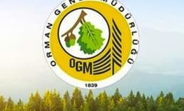 Orman Genel Müdürlüğü 4 bin 500 geçici işçi alacak