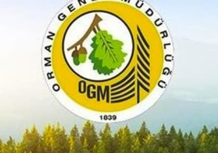 Orman Genel Müdürlüğü 4 bin 500 geçici işçi alacak
