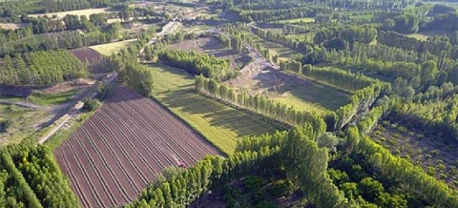 Orman kadastrosu ve 2B yönetmeliği yenilendi