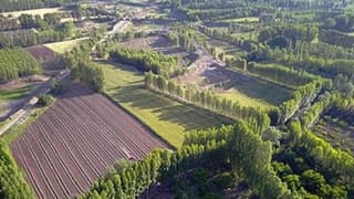 Orman kadastrosu ve 2B yönetmeliği yenilendi