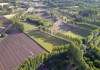 Orman kadastrosu ve 2B yönetmeliği yenilendi