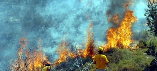 Orman yangınlarının bilançosu ağırlaşıyor