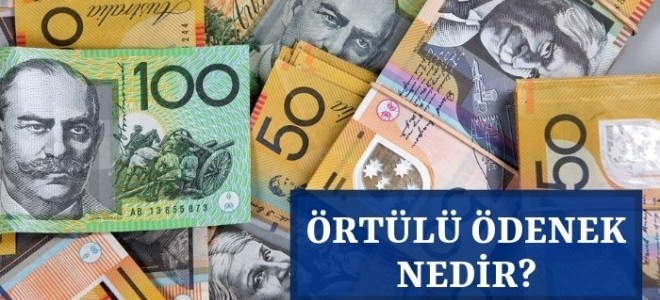 Örtülü Ödenek Nedir?