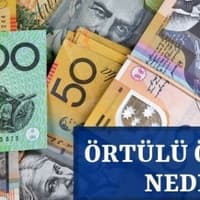 Örtülü Ödenek Nedir?