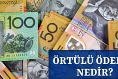 Örtülü Ödenek Nedir?