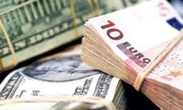 OVP Öncesi Dövizde Son Durum