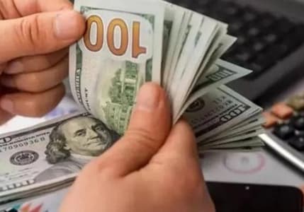 Özel sektörün yurt dışı borcu 11,2 milyar dolar arttı