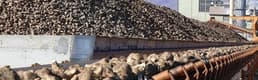 Özelleştirme İdaresi, Iğdır Şeker Fabrikası'nın satışına onay verdi