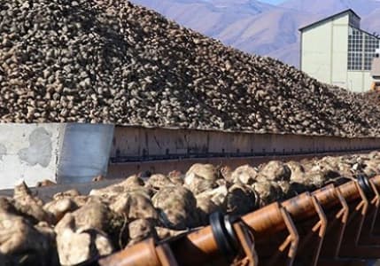 Özelleştirme İdaresi, Iğdır Şeker Fabrikası'nın satışına onay verdi