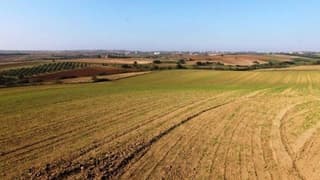 Parasını toprağa yatıranlar kaybetti: Arsa ve tarlada en az değerlenen iller belli oldu