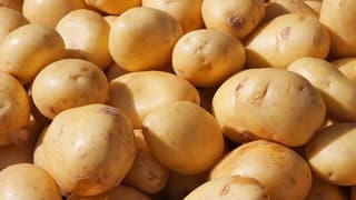 Patatesin Tadı Kaçtı
