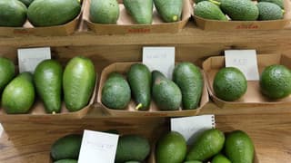 Pazarlarda narenciyenin yeni rakibi avokado oldu