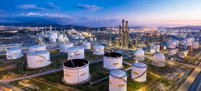 Petkim, 2022 karını açıkladı