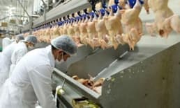 Piliç sektörünün liderlerinden Keskinoğlu satılıyor