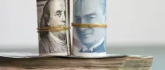 Piyasanın yıl sonu dolar/TL tahmini belli oldu