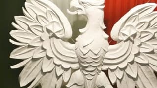 Polonya’da cumhurbaşkanı seçimi için geri sayım başladı: Öne çıkan vaatler neler oldu?