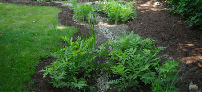 Prof. Dr. Mikdat Kadıoğlu: 'Türkiye Yağmur Hasadına Gitmeli'