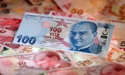 Reel efektif döviz kuru endeksi temmuzda yükseldi