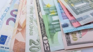 Reel efektif döviz kuru Haziran'da yükseldi