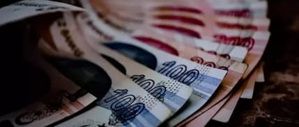 Reel efektif döviz kuru ocakta yükseldi