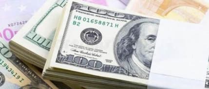 Reel efektif döviz kuru Şubat'ta yükseldi