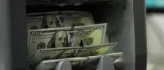 Reel sektörün net döviz pozisyonu açığı 213 milyar doları aştı