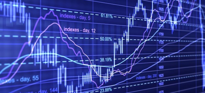 Rekorlarla dolu 2020'de yerli yatırımcı sayısı 2 milyona yaklaştı