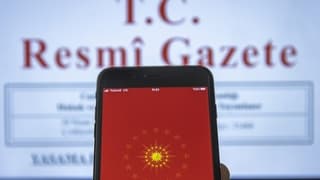 Resmi Gazete'de yayımlandı: Bazı ürünlerin ithalatı için tarife kontenjanı belirlendi