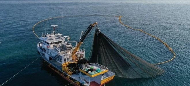 Resmi Gazete'de yayımlandı: Su ürünleri avcılığında yeni dönem başlıyor