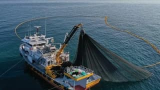 Resmi Gazete'de yayımlandı: Su ürünleri avcılığında yeni dönem başlıyor