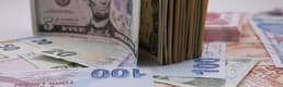 Reuters: Türk lirası, dolar karşısında %12 değer kaybedecek