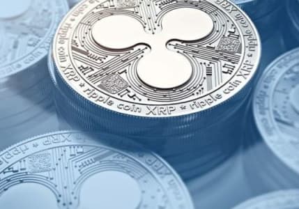 Ripple Ceo’su Ico’ların Gerçek Kazananlarının Avukatlar Olduğunu Söyledi