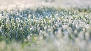 Rusya, mahsulleri etkileyen donlar nedeniyle acil durum hazırlığında