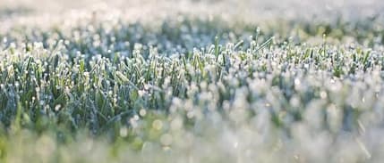 Rusya, mahsulleri etkileyen donlar nedeniyle acil durum hazırlığında