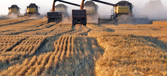 Rusya tahıl ürünlerinde ihracat vergilerini geçici olarak sıfırlıyor